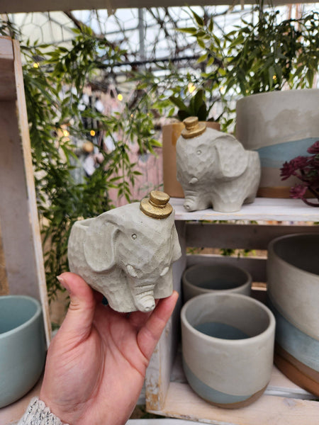 PLANT ‘ER HERE Edward The Elephant