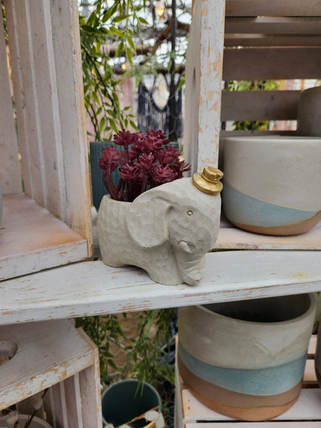 PLANT ‘ER HERE Edward The Elephant