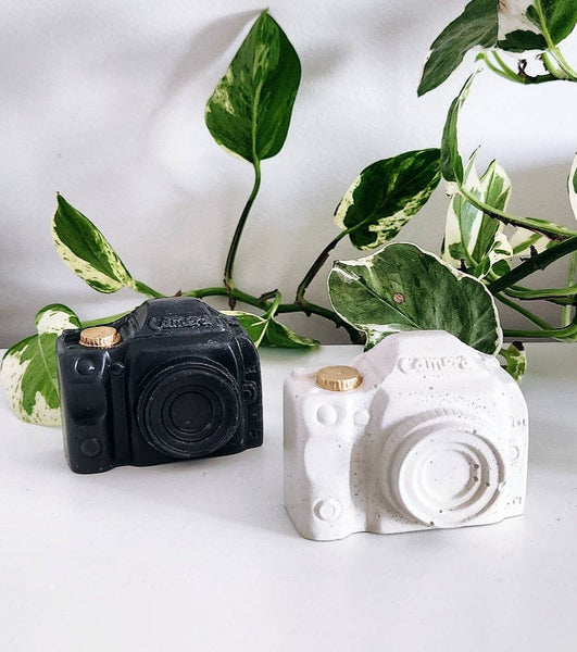 PLANT ‘ER HERE Mini Camera Decor