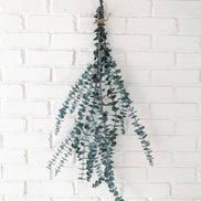 EUCALYPT-Eucalyptus Shower Bundle