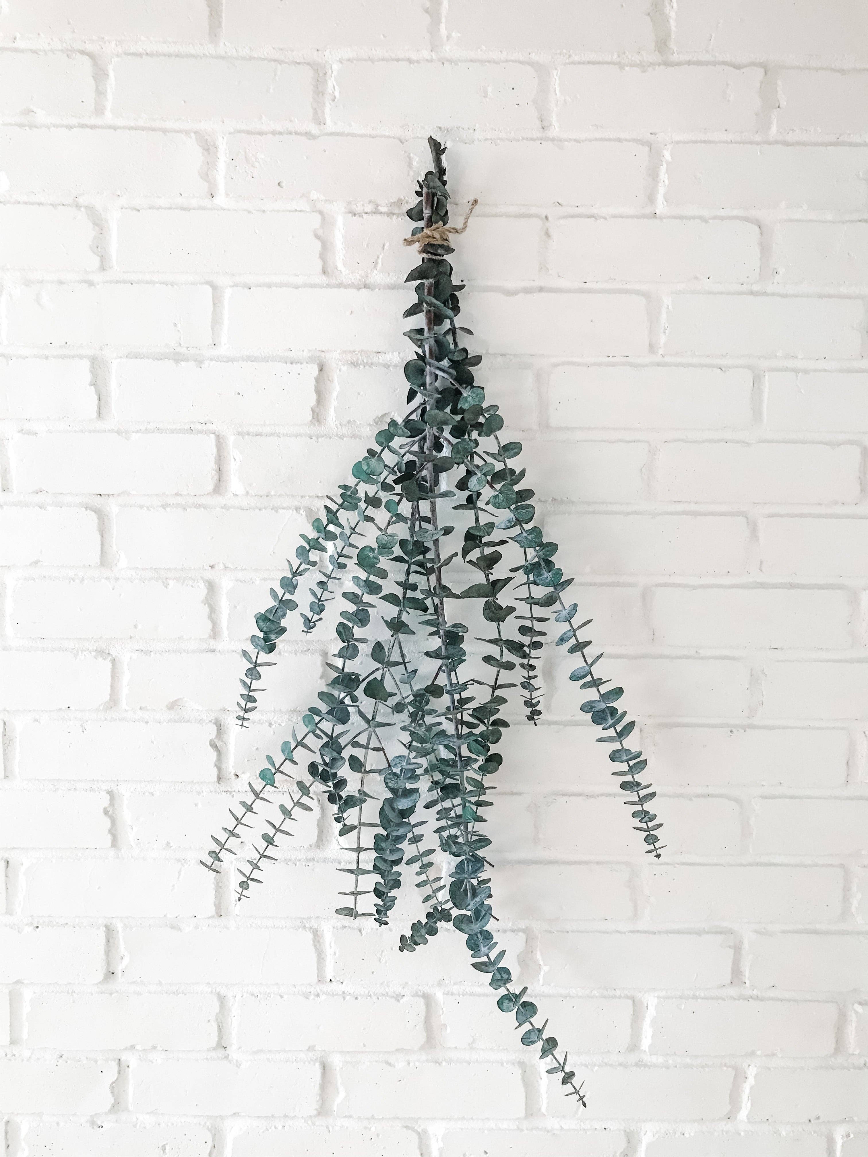 EUCALYPT-Eucalyptus Shower Bundle
