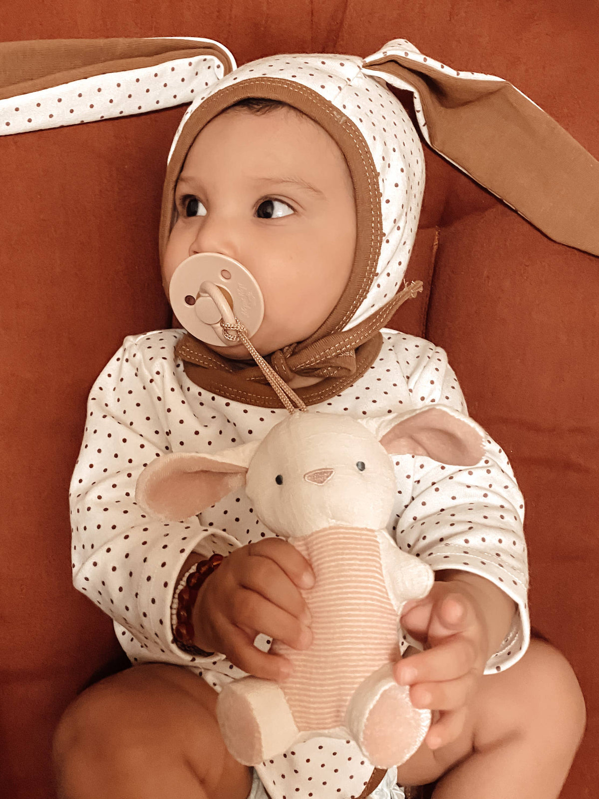 Bitzy Pal Natural Rubber Pacifier & Plush
