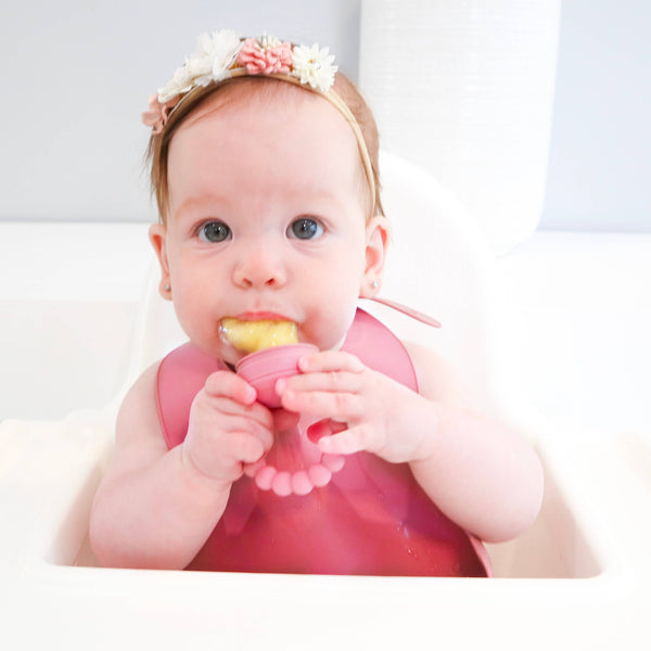 Baby bliss Fruit Feeder
