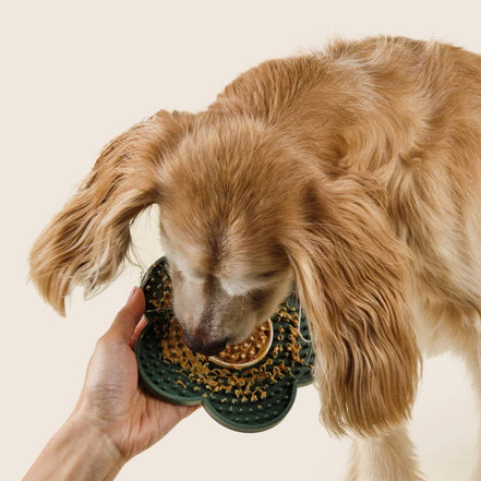 DANDYLION Lick Mat | Stress-Free Grooming Tool - Silicone