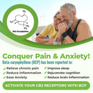 CANNANDA CB2 HEMP SEED OIL >> Vegan Softgels (70 Vegan Softgels)