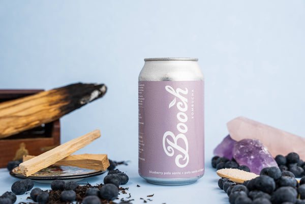 BOOCH- Blueberry Palo Santo Kombucha Can