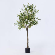 TRUU Artificial Potted Olive Tree, 63