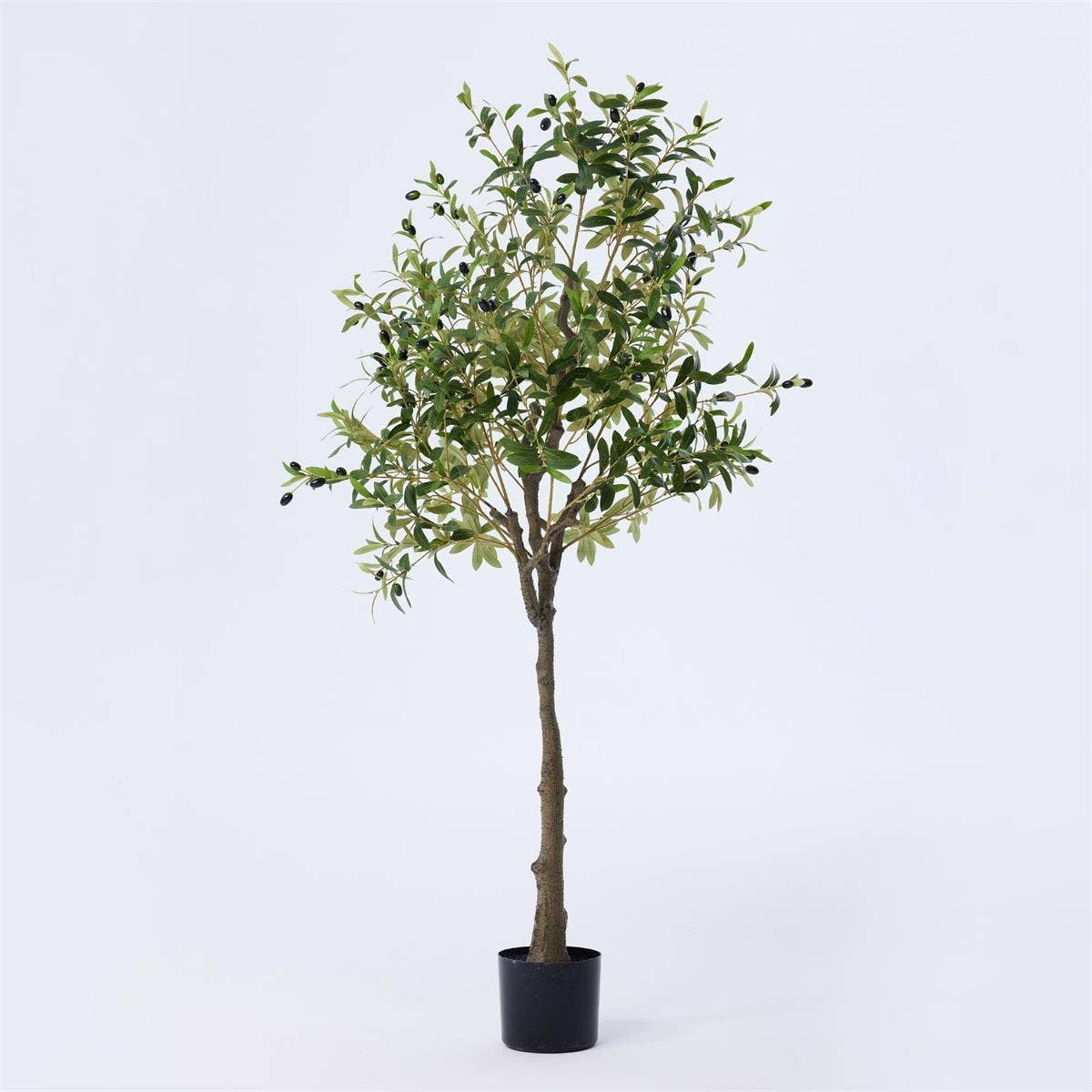 TRUU Artificial Potted Olive Tree, 63