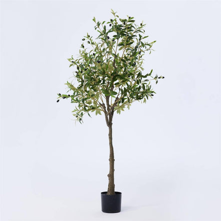 TRUU Artificial Potted Olive Tree, 63"H
