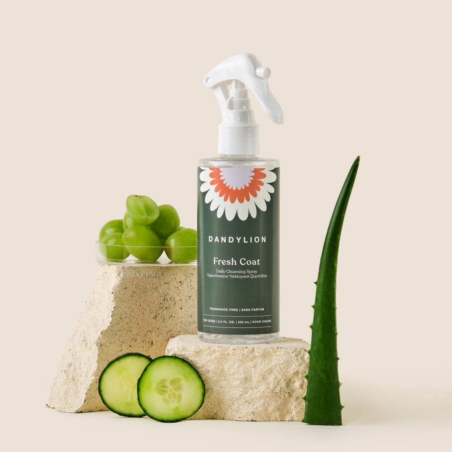 DANDYLION Fresh Coat Daily Cleansing Spray | Waterless No-Rinse Shampoo