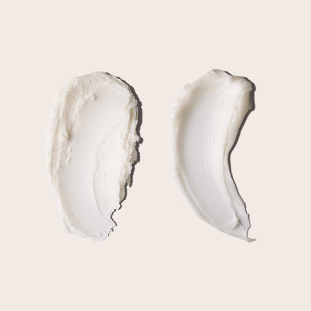 EVERIST Shampoo & Conditioner | The Haircare Meets Skincare Set