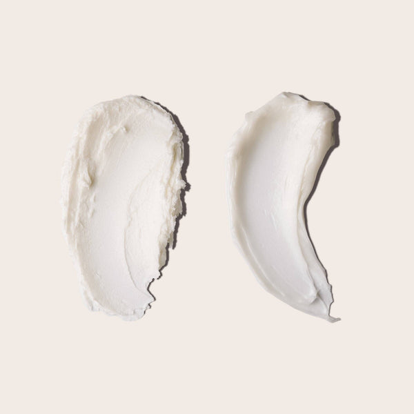 EVERIST Shampoo & Conditioner | The Haircare Meets Skincare Set