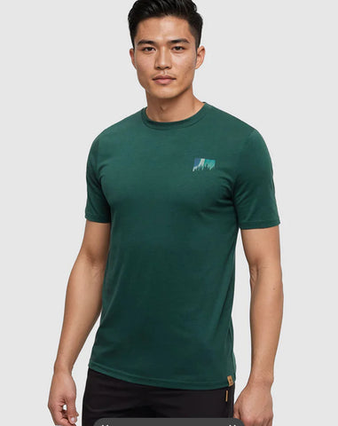 TENTREE Northern Aurora T-Shirt