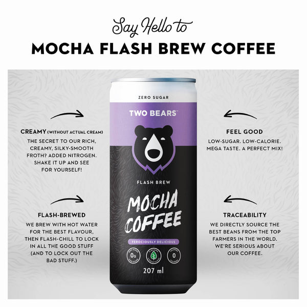 Two Bears Mocha Flash Brew Coffee