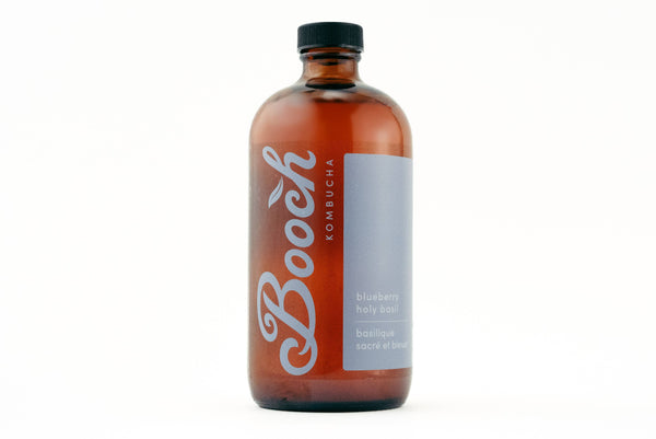 BOOCH Blueberry Holy Basil Kombucha