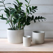 PLANT ‘ER HERE Cylinder Planter- 3