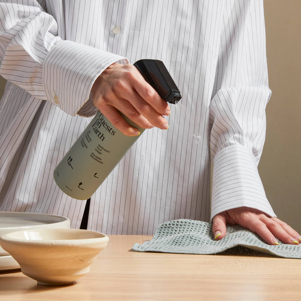 GUESTS ON EARTH All-Purpose Cleaner (full)