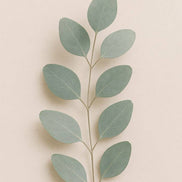 REBELS Lavender x Eucalyptus Pocket Hand Sanitizer