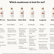 RAINBO 11:11 Super Multi-Mushroom Tincture *Alcohol-Free*