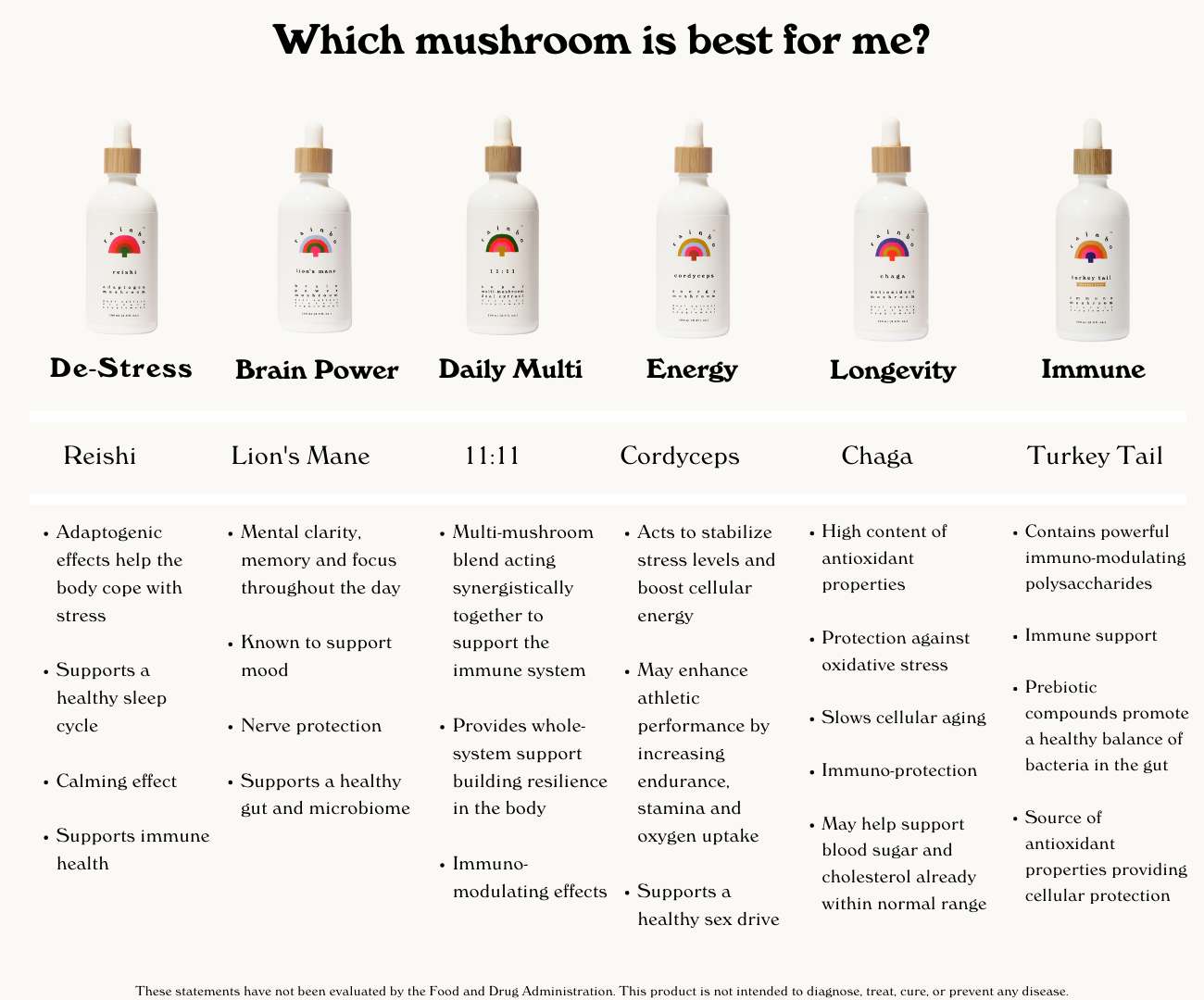 RAINBO 11:11 Super Multi-Mushroom Tincture *Alcohol-Free*