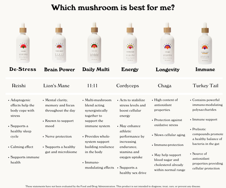 RAINBO 11:11 Super Multi-Mushroom Tincture *Alcohol-Free*