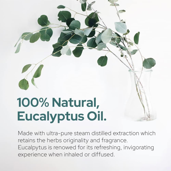 Plant of Life Eucalyptus Essential Oil | Therapeutic Grade | Multi Sizes