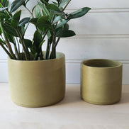 PLANT ‘ER HERE Cylinder Planter- 5