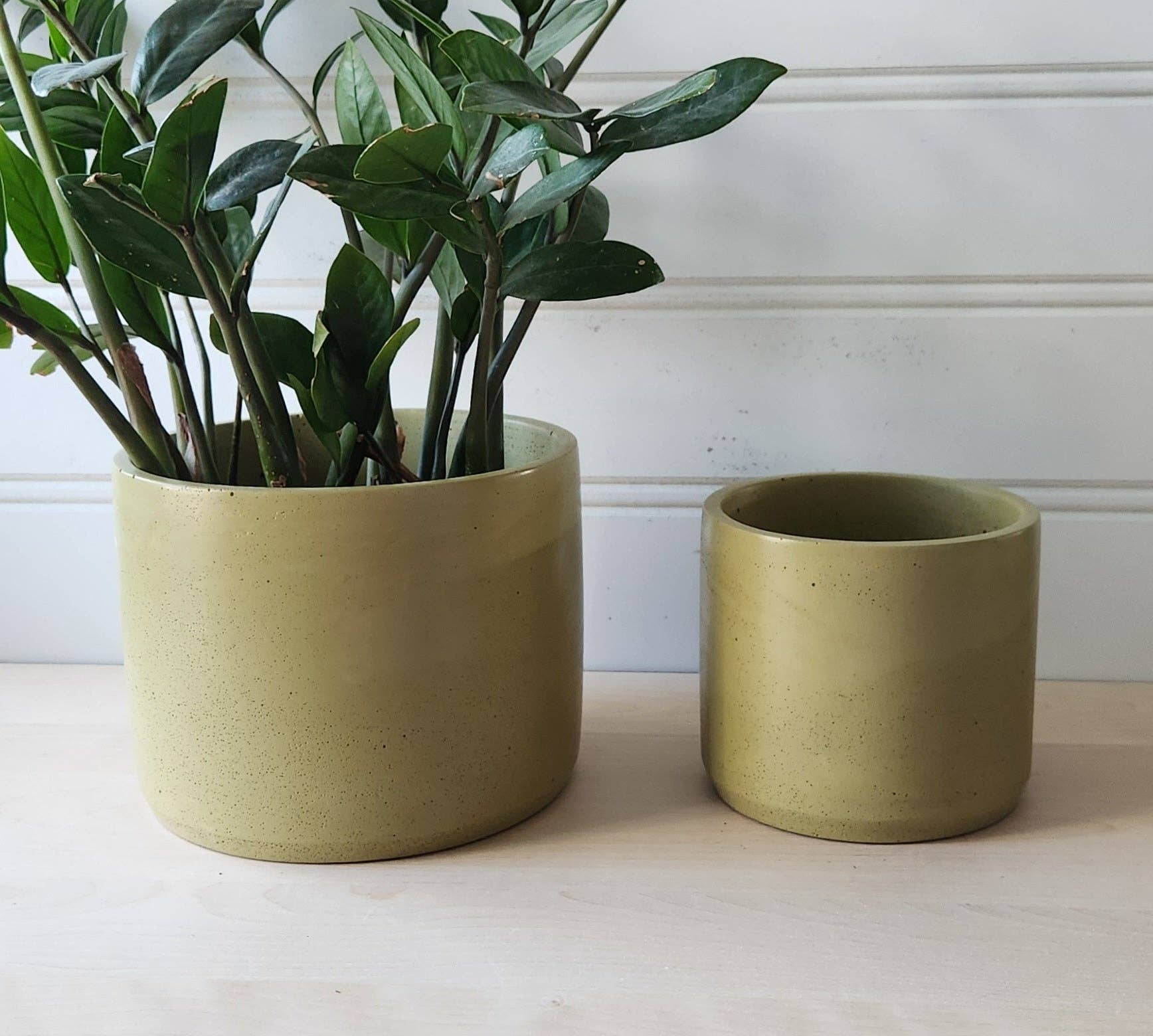 PLANT ‘ER HERE Cylinder Planter- 5" and 7" Chartreuse