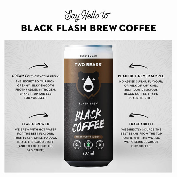 TWO BEARS Black Flash Brew Coffee (207 ml)