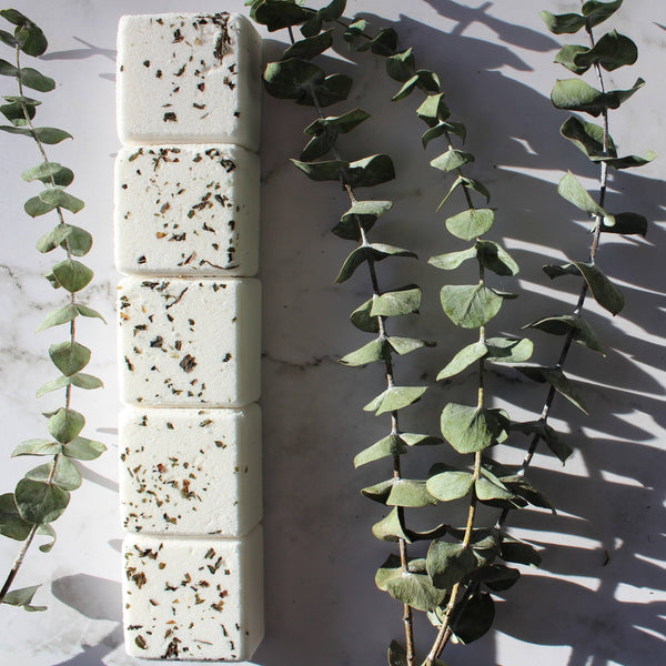HUDSON SOAP EUCALYPTUS | shower steamer