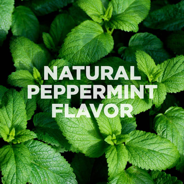 Plant of Life Natural Mouth Pulling Oil | Ayurvedic and Mint - 240ml