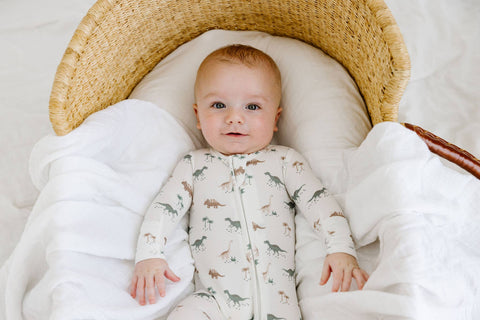 love + wild Zip Sleeper - Dinosaurs