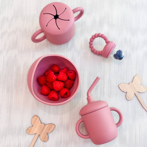 Baby bliss Fruit Feeder