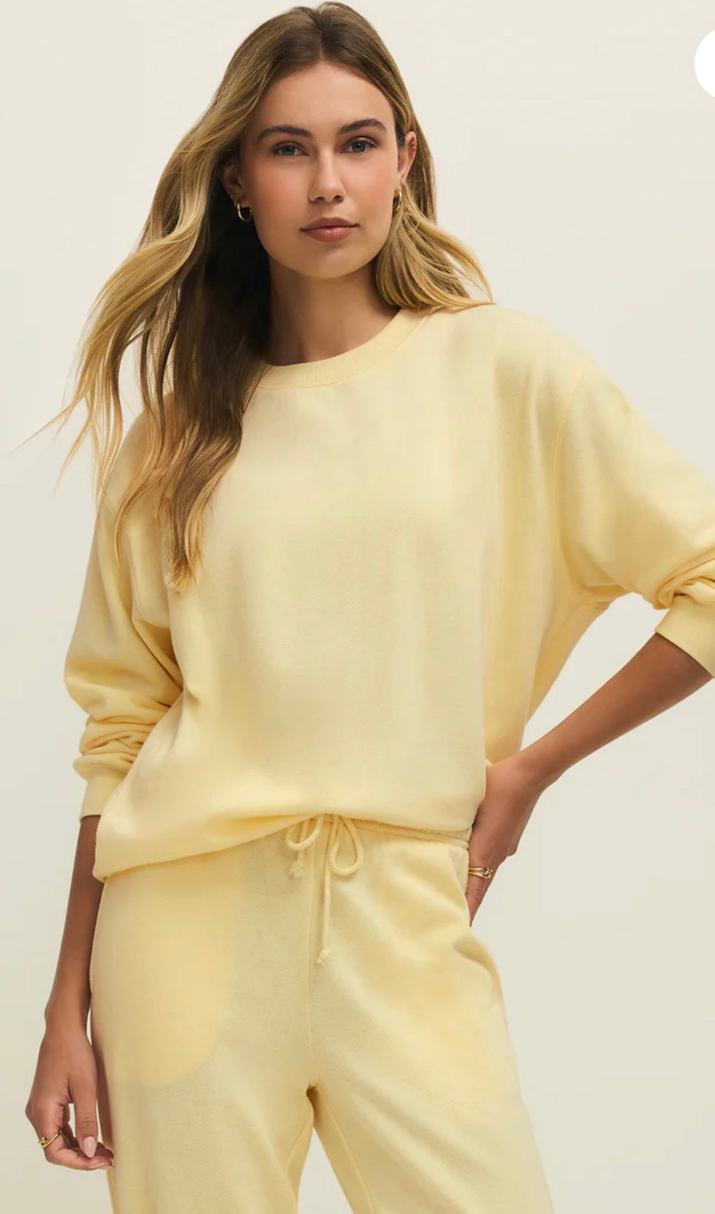 ZSUPPLY BOYFRIEND SWEATSHIRT