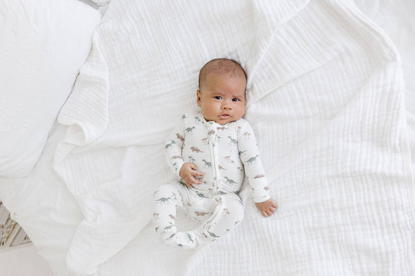 love + wild Zip Sleeper - Dinosaurs