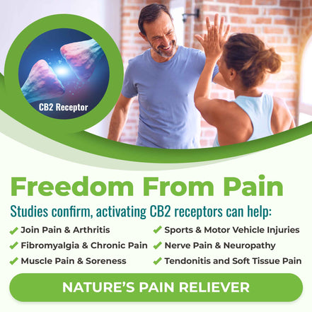 CANNANDA CB2 HEMP SEED OIL >> Vegan Softgels (70 Vegan Softgels)