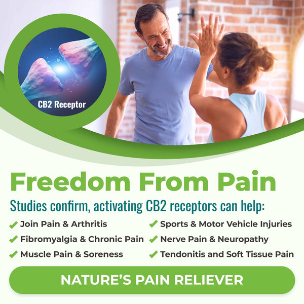 CANNANDA CB2 HEMP SEED OIL >> Vegan Softgels (70 Vegan Softgels)