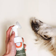 DANDYLION Clean Paws No-Rinse Foaming Cleanser