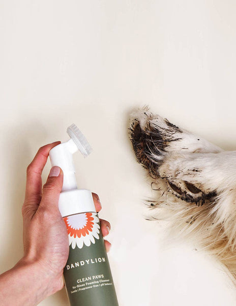 DANDYLION Clean Paws No-Rinse Foaming Cleanser