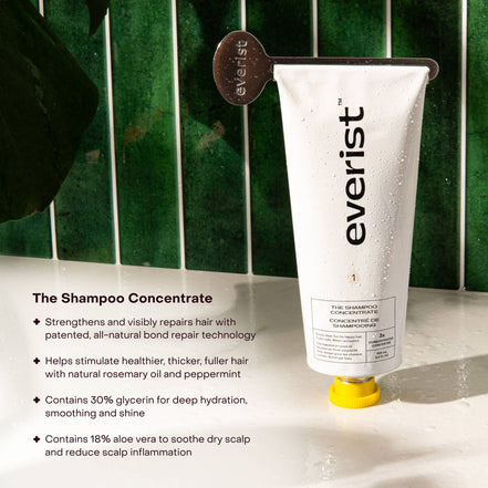 EVERIST Shampoo | The Shampoo Concentrate