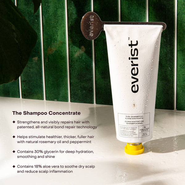 EVERIST Shampoo | The Shampoo Concentrate