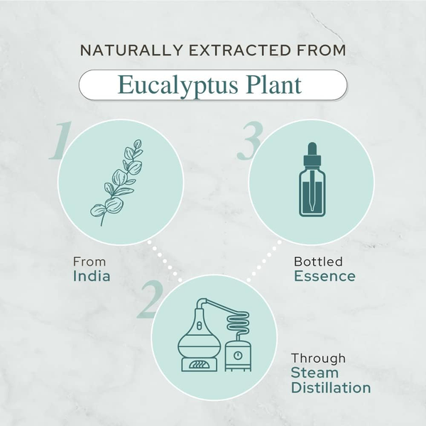 Plant of Life Eucalyptus Essential Oil | Therapeutic Grade | Multi Sizes
