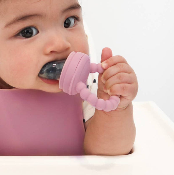 Baby bliss Fruit Feeder