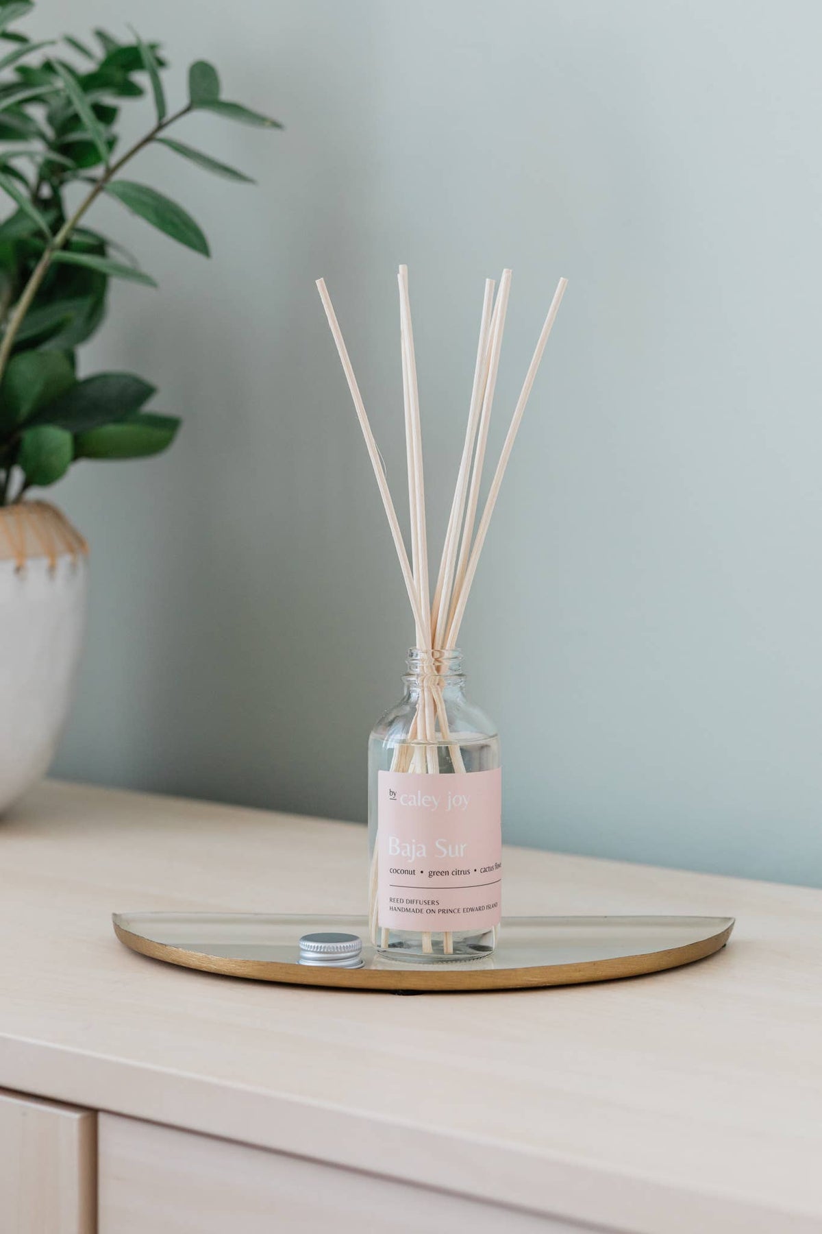 By Caley Joy Baja Sur | Reed Diffuser