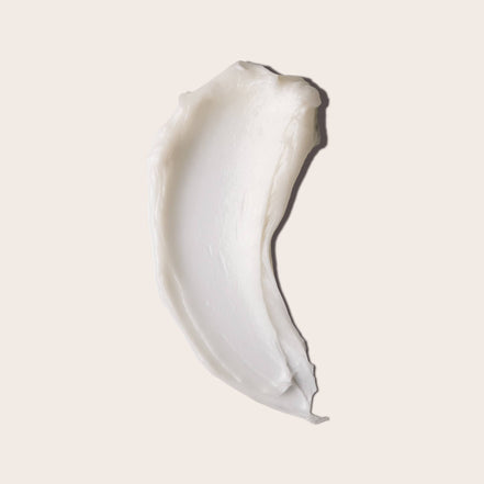 EVERIST Conditioner | The Deep Conditioning Concentrate