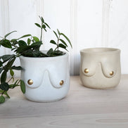PLANT ‘ER HERE Golden Boob Pot