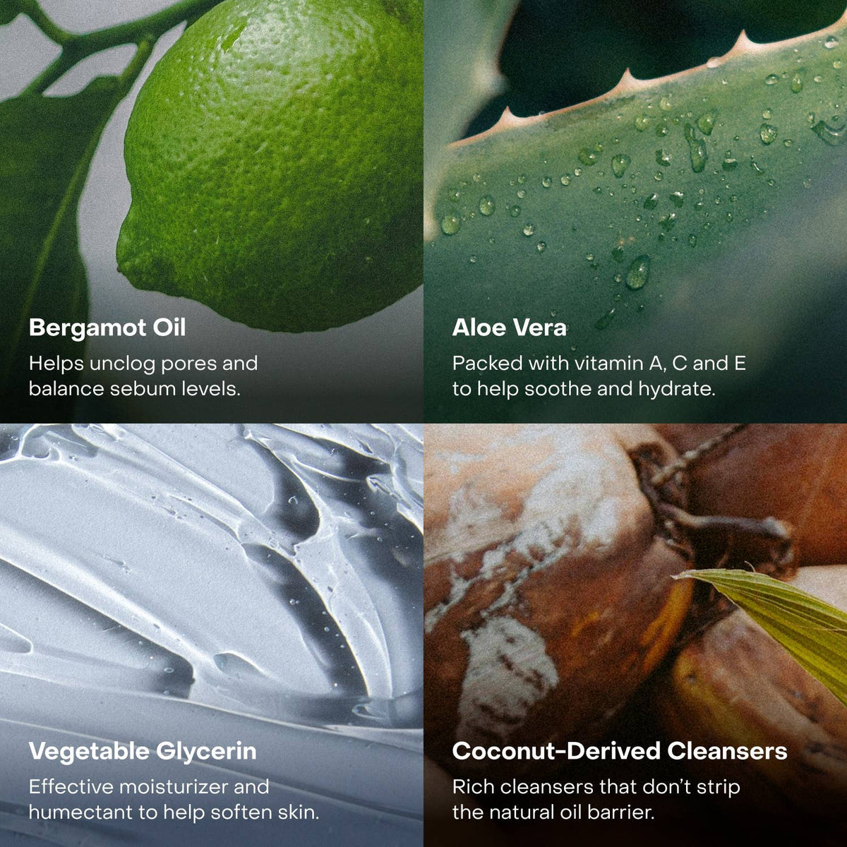 EVERIST The Body Wash Concentrate