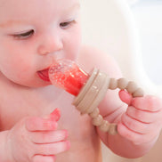 Baby bliss Fruit Feeder