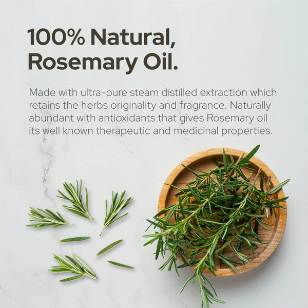 Plant of Life Rosemary Essential Oil for Aromatherapy Hair, Skin, & Nails