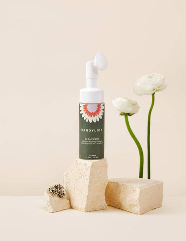 DANDYLION Clean Paws No-Rinse Foaming Cleanser